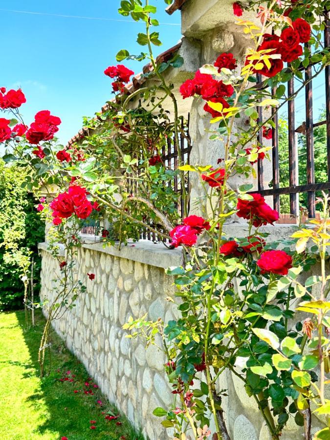 Villa Rila Garden Beli Iskar Exterior foto